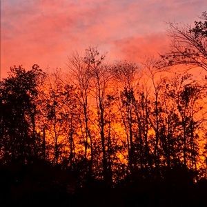 Meet your Posher, Randi